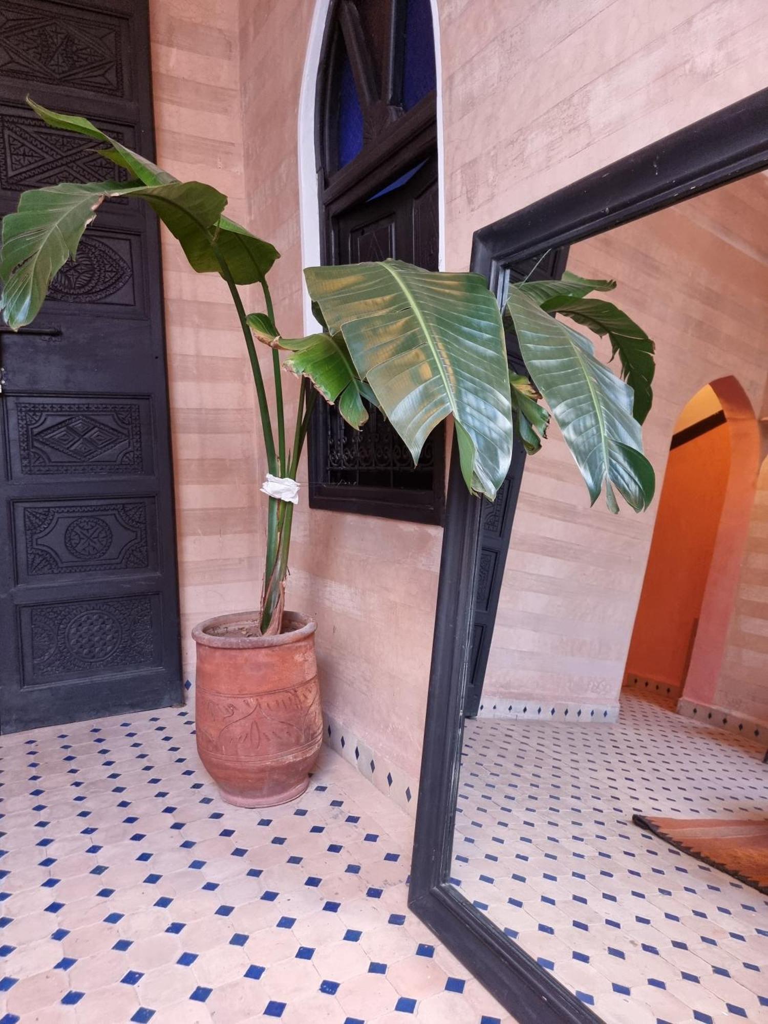 Riad Black Doors Marrakesh Bagian luar foto