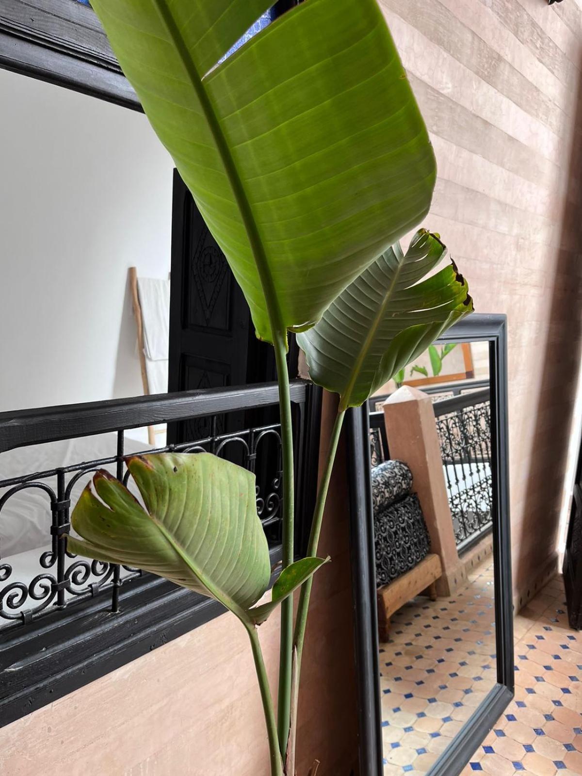 Riad Black Doors Marrakesh Bagian luar foto