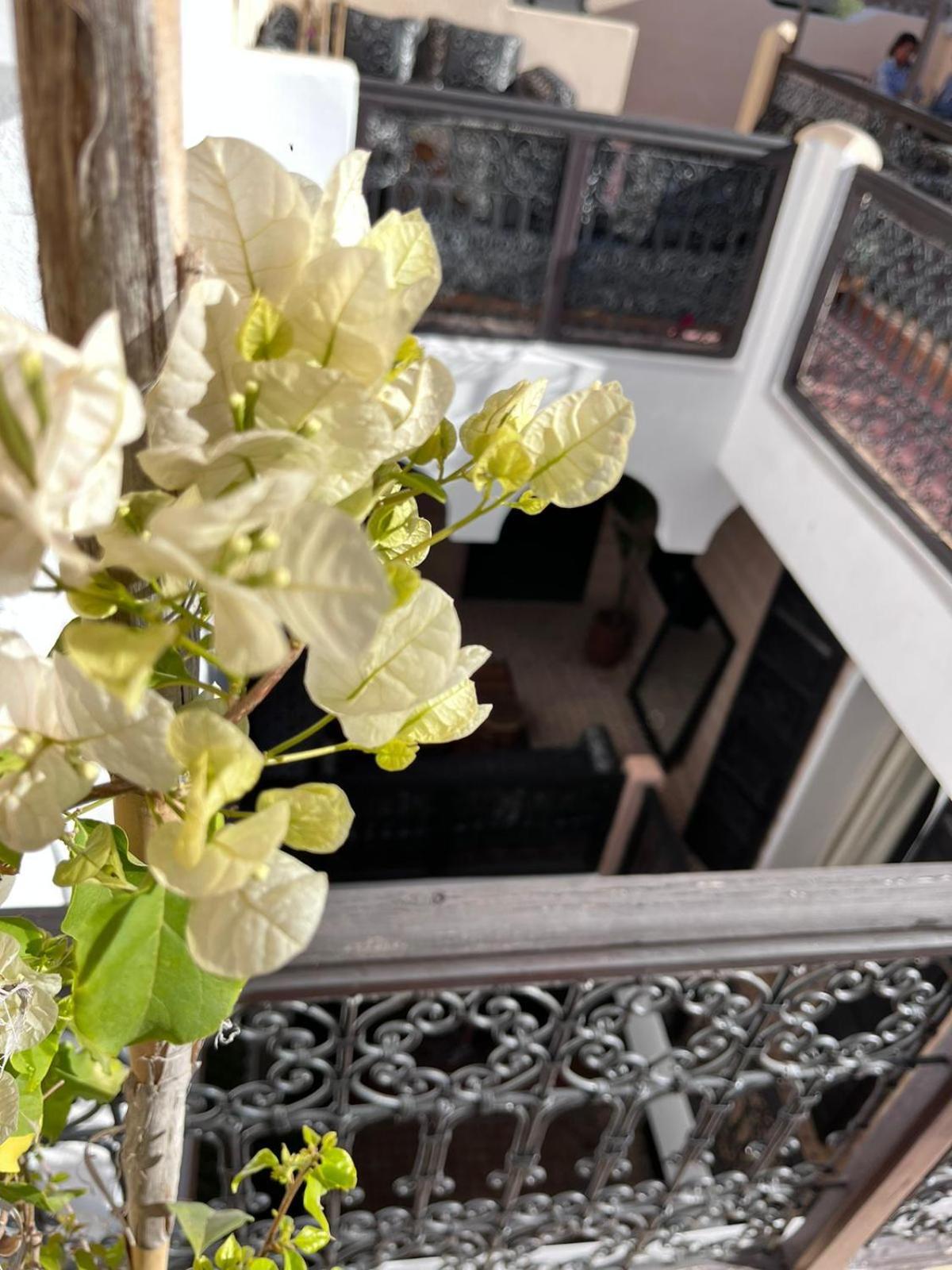 Riad Black Doors Marrakesh Bagian luar foto